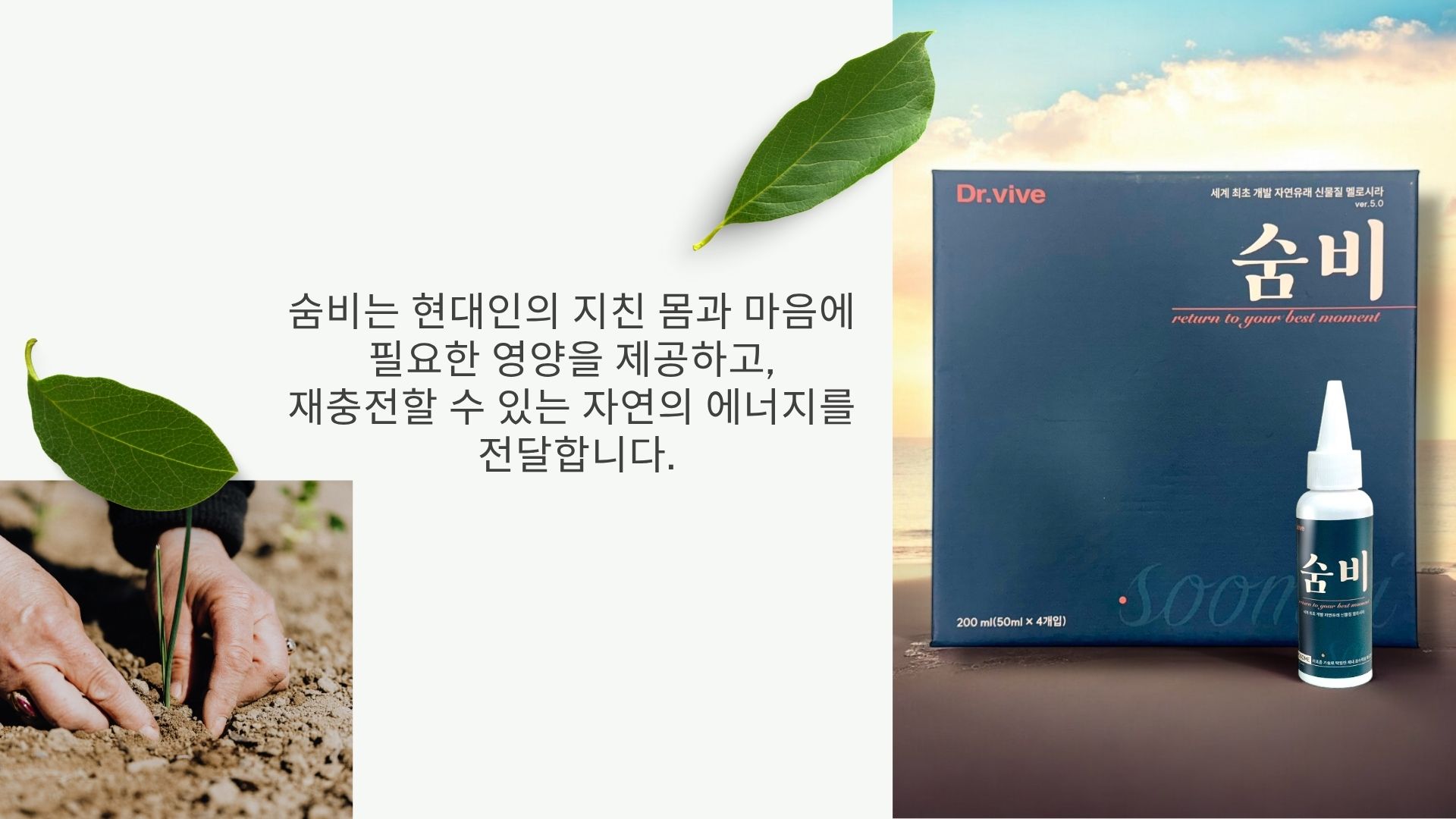 자연의에너지